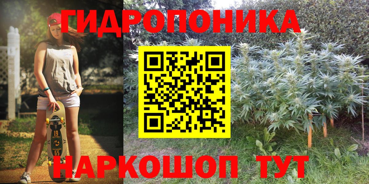 Конопля планчик  Марихуана ГИДРОПОН  Белая Калитва  Вход с VPN  Каннабис ГИДРОПОН  Бошки марихуана семена 